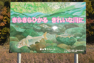 写真4：金生川ラバーズ10周年記念事業の様子