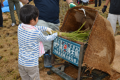 写真：脱穀機を体験する小学生