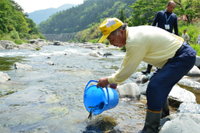 写真：鮎の放流の様子