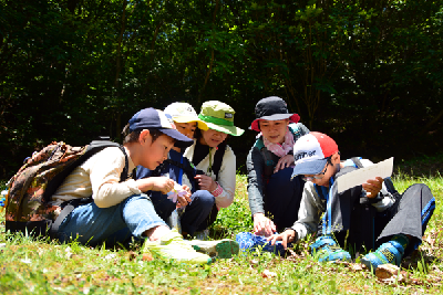 写真：「名づけ親の旅」草花にオリジナルの名前をつけるため、特徴を観察している参加者ら