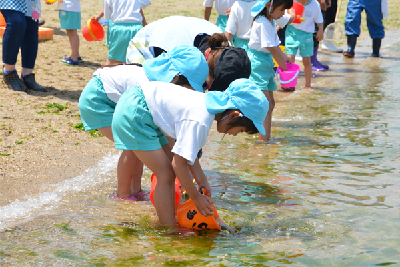 写真：ヒラメの稚魚を放流する園児