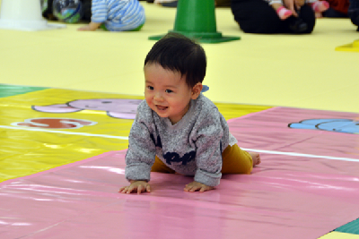 写真：赤ちゃんはいはいレースの様子