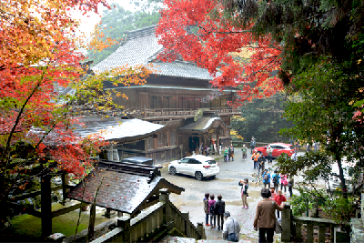 写真：仙龍寺を散策している様子