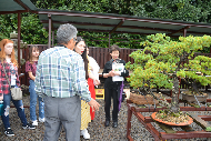 写真：盆栽城見学の様子