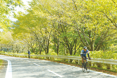 写真：自転車で坂を下る