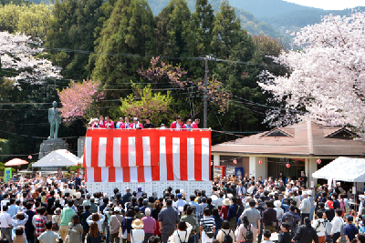 写真1：三島公園桜まつりの様子