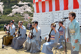 写真3：三島公園桜まつりの様子