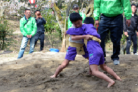 写真：子どもすもう大会の様子