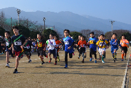 小学生駅伝大会の様子の画像3