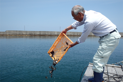 写真：放流の様子