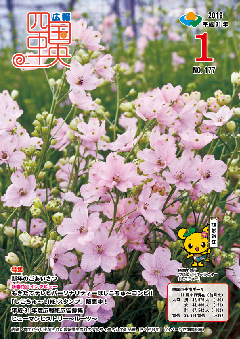 画像：広報　四国中央　1月号表紙　本市から初出荷された愛媛県生まれのデルフィニウムの新品種「さくらひめ」（23ページに関連記事）