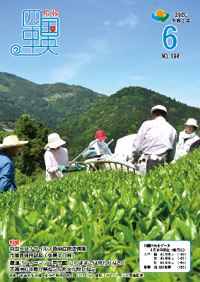 画像：広報四国中央　6月号表紙　新宮茶を収穫、新茶の時期到来！