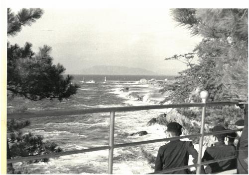足摺岬展望台（昭和29（1954）年）の画像
