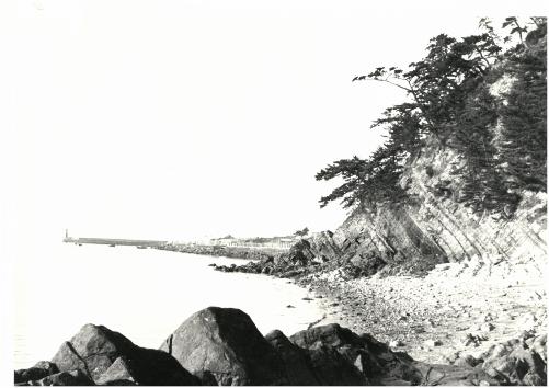 城山海岸（昭和29（1954）年）の画像