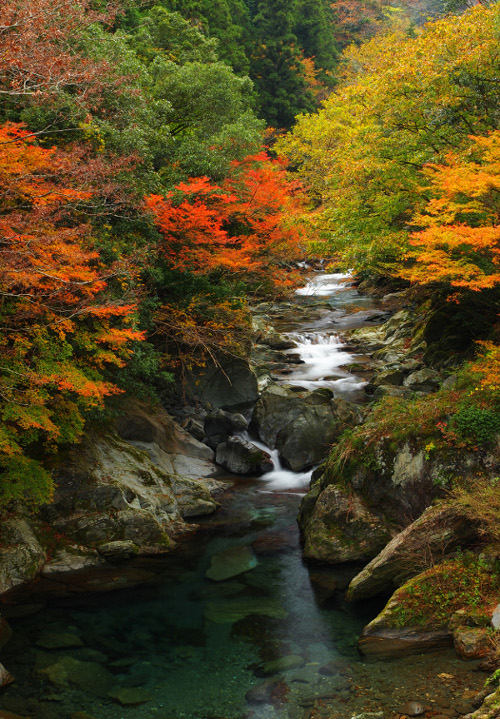 富郷渓谷の紅葉