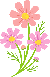 花の画像