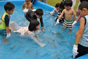 てらの・金砂湖畔広場 夏の感謝祭へおでかけ！の写真2