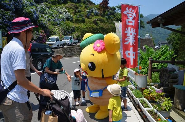 新宮町中野地区のあじさい祭りにおでかけの写真1