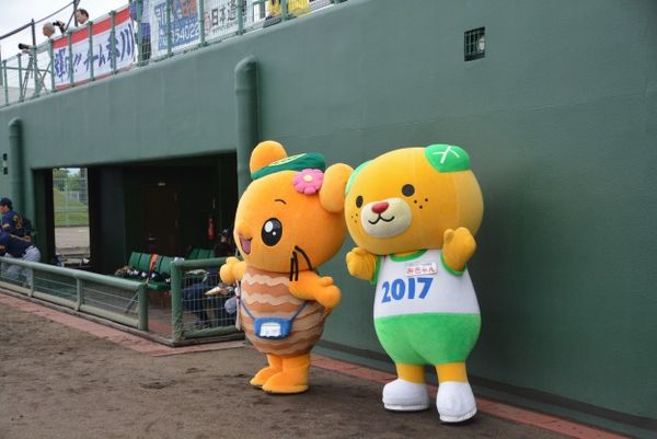 えひめ国体：軟式野球（成年男子）の写真2