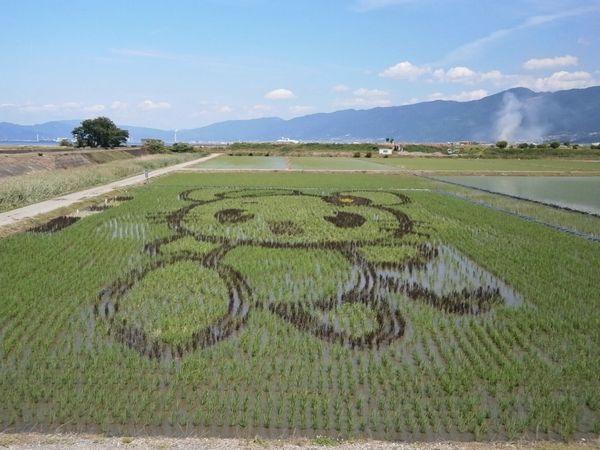 田んぼアート【最終更新日：平成29年8月1日】の写真9