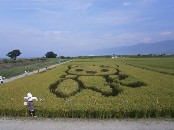 田んぼアート【最終更新日：平成29年8月1日】の写真10